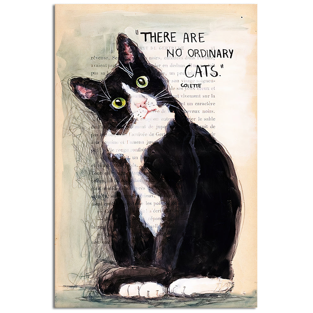 12x18 Inch Black Cat There're No Ordinary Cats - Vertical Poster - Owls Matrix LTD