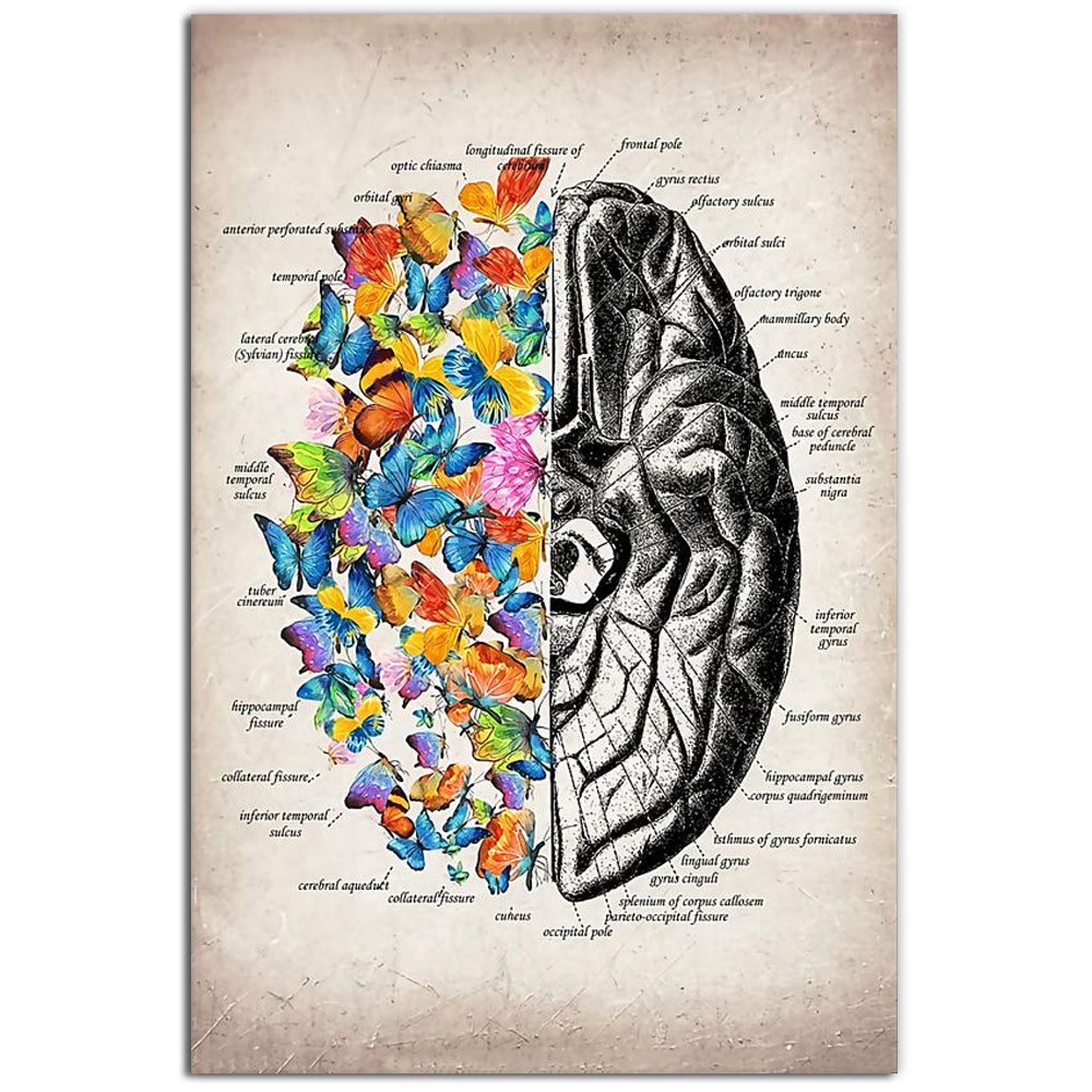 12x18 Inch Butterfly Brain Colorful Classic - Vertical Poster - Owls Matrix LTD
